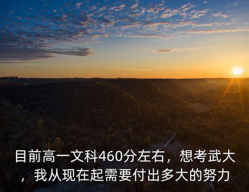 目前高一文科460分左右，想考武大，我從現在起需要付出多大的努力