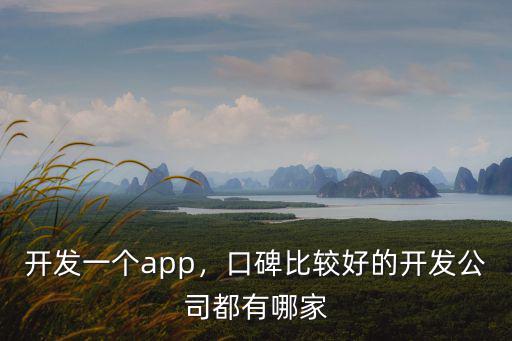 開發一個app，口碑比較好的開發公司都有哪家