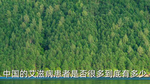 江蘇金壇艾滋病患者有多少,中國的艾滋病患者是否很多