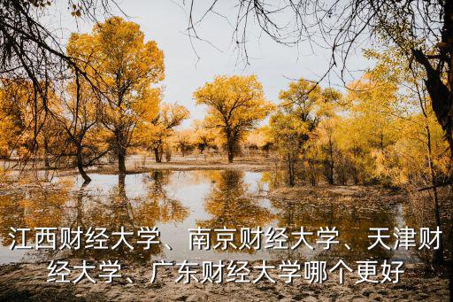 江西財經(jīng)大學(xué)、南京財經(jīng)大學(xué)、天津財經(jīng)大學(xué)、廣東財經(jīng)大學(xué)哪個更好