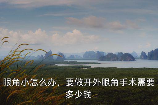 蘇州做外眼角多少錢,要做開外眼角手術需要多少錢