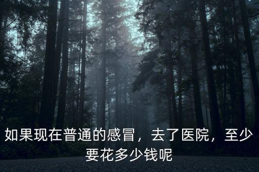 蘇州九龍醫院感冒花多少錢,大家看感冒最多花了多少錢