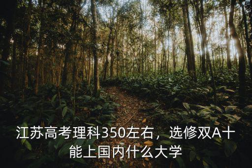 江蘇高考理科350左右，選修雙A十能上國內(nèi)什么大學(xué)