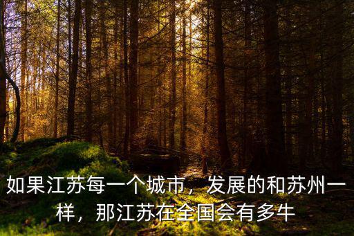 如果江蘇每一個城市，發(fā)展的和蘇州一樣，那江蘇在全國會有多牛