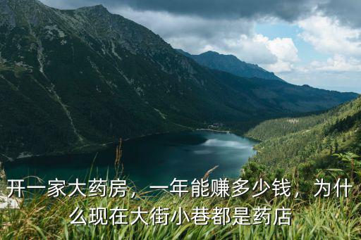 南京一家醫保藥店一年盈利多少,開一家大藥房