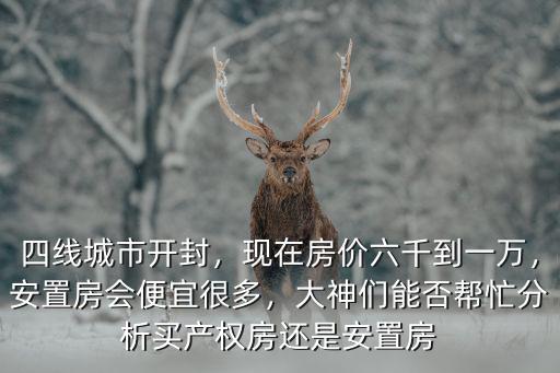 四線城市開封，現在房價六千到一萬，安置房會便宜很多，大神們能否幫忙分析買產權房還是安置房