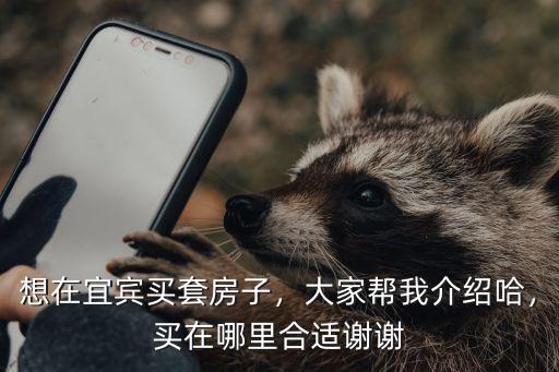 想在宜賓買套房子，大家幫我介紹哈，買在哪里合適謝謝