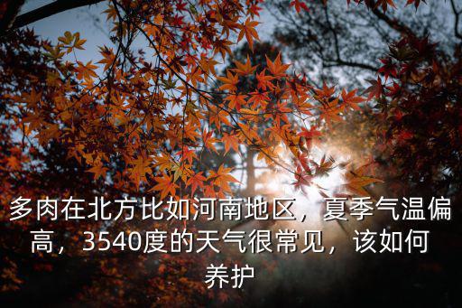 河南多肉效益怎么樣,多肉大棚的發展前景怎么樣
