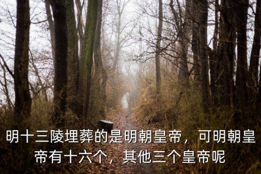 明朝多少個皇帝埋在南京,明朝有十六個皇帝
