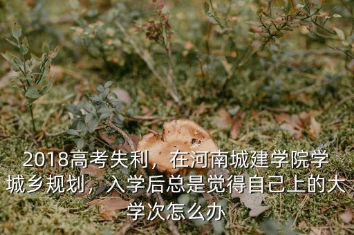 河南城建學(xué)院一共有多少人,河南城建學(xué)院怎么樣