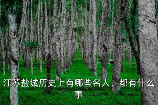 江蘇鹽城歷史上有哪些名人，都有什么事