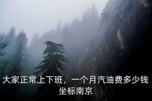 大家正常上下班，一個月汽油費多少錢坐標南京