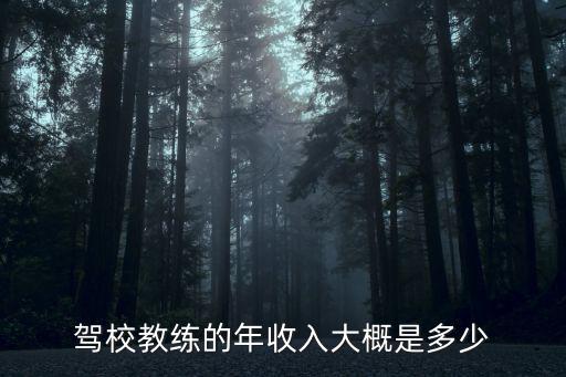 南京駕校教練工資一般多少,駕校教練的年收入大概是多少
