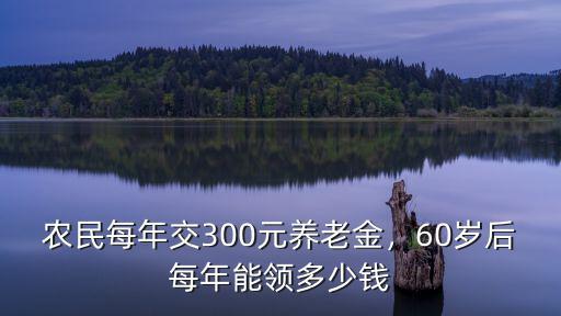 江蘇60歲農(nóng)民養(yǎng)老金多少年,農(nóng)民每年交300元養(yǎng)老金