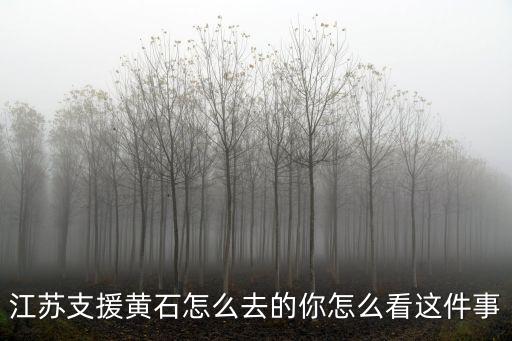江蘇支援武漢多少錢,這次江蘇支援孝感的戰役