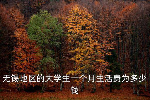 無錫地區的大學生一個月生活費為多少錢