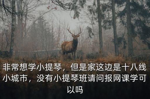 德陽小提琴哪里學,學小提琴需要具備哪些條件