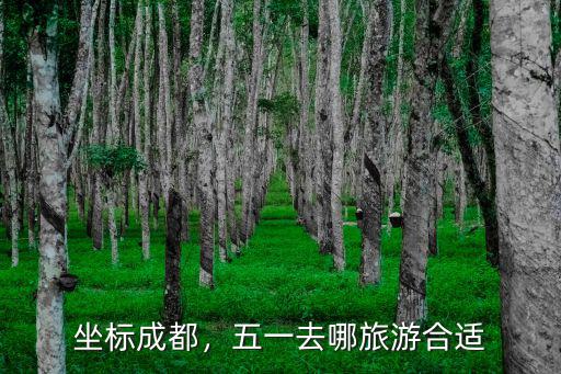 五一去成都哪里耍,五一準備去成都玩幾天