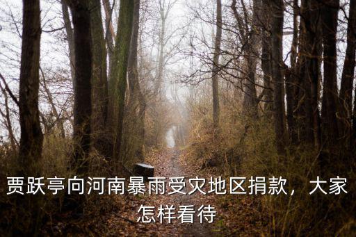 賈躍亭向河南暴雨受災(zāi)地區(qū)捐款，大家怎樣看待