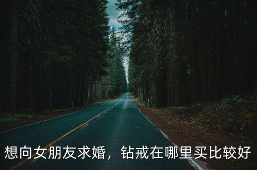 樂山買鉆戒哪里比較好,鉆戒在哪里買比較好