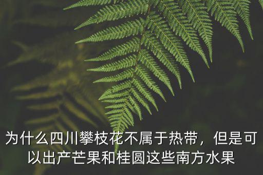 為什么四川攀枝花不屬于熱帶，但是可以出產(chǎn)芒果和桂圓這些南方水果