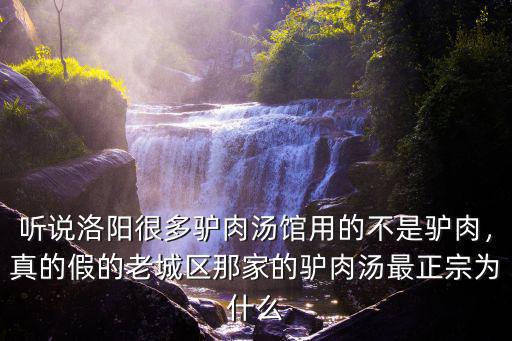 洛陽哪里有正宗驢肉湯培訓(xùn) 驢肉湯技術(shù)教學(xué),洛陽哪家驢肉湯好喝