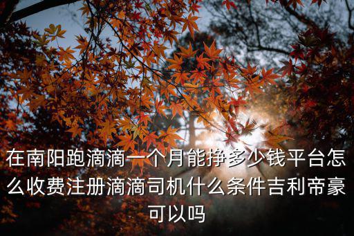 在南陽跑滴滴一個月能掙多少錢平臺怎么收費注冊滴滴司機什么條件吉利帝豪可以嗎