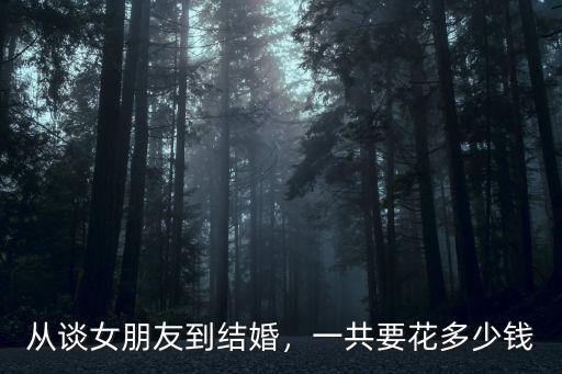 從談女朋友到結婚，一共要花多少錢