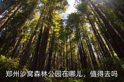 鄭州沙窩森林公園在哪兒，值得去嗎