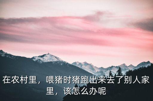 在農(nóng)村里，喂豬時豬跑出來去了別人家里，該怎么辦呢