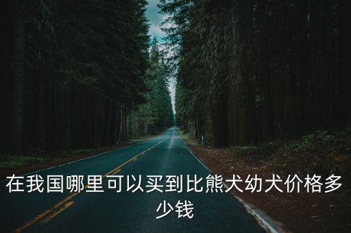 洛陽比熊犬哪里買,一歲的比熊能買嗎