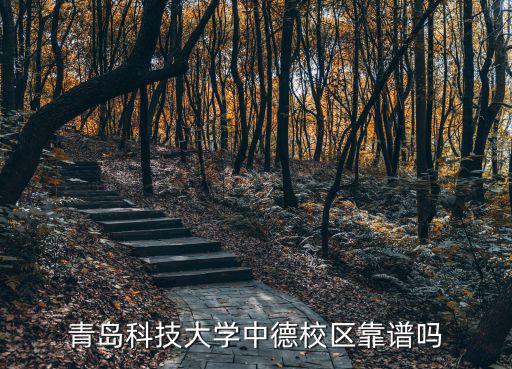 新鄉(xiāng)中德學(xué)校怎么樣,新鄉(xiāng)學(xué)院怎么樣