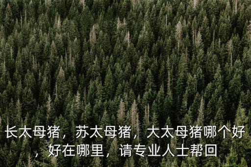 四川哪里有蘇太母豬,蘇太母豬好不好