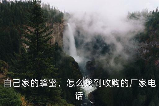 成都哪里有收蜂糖的,哪有收購蜂蜜的