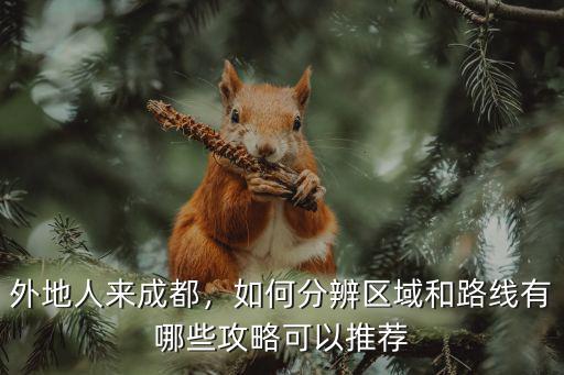 成都哪里有外地人聚集,成都有什么外地人不知道