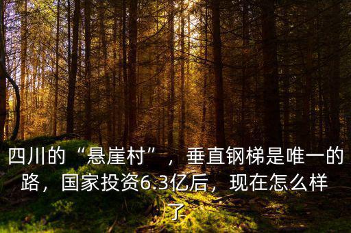 四川的“懸崖村”，垂直鋼梯是唯一的路，國家投資6.3億后，現在怎么樣了