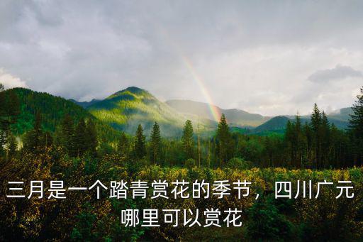 四川蒼溪桃花節在哪里,桃樹栽在哪里好