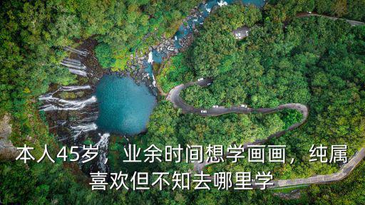 本人45歲，業余時間想學畫畫，純屬喜歡但不知去哪里學