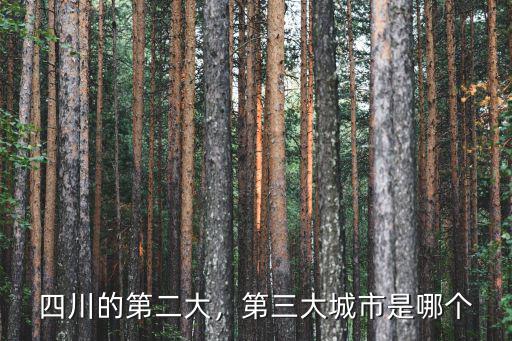 四川省第二大城市是哪里,誰才是四川第二大城市