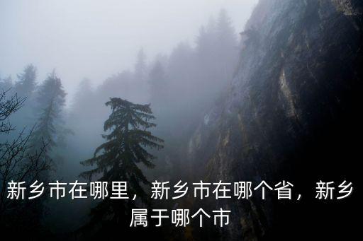 新鄉創業園在哪里,新鄉市在哪里