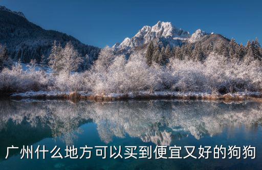 廣州什么地方可以買到便宜又好的狗狗