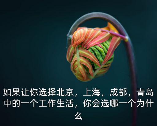 上海和成都哪里工作好一點,成都跟上海之間的差距在哪里