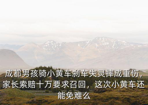 成都男孩騎小黃車剎車失靈摔成重傷，家長索賠十萬要求召回，這次小黃車還能免難么