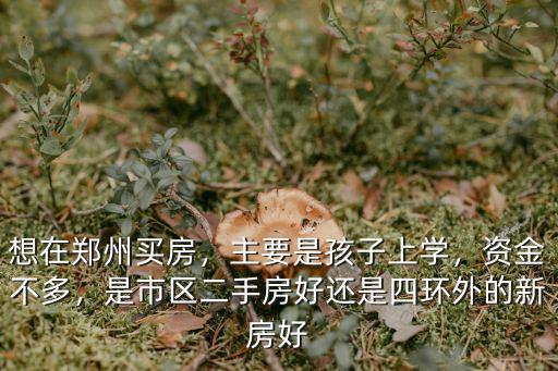 鄭州上學在哪里買房,想在鄭州買房