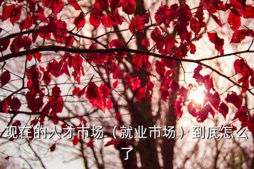 攀枝花市的人才就業(yè)市場(chǎng)在哪里,現(xiàn)在的人才市場(chǎng)