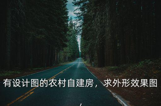 有設計圖的農村自建房，求外形效果圖，