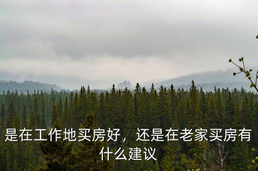 是在工作地買房好，還是在老家買房有什么建議