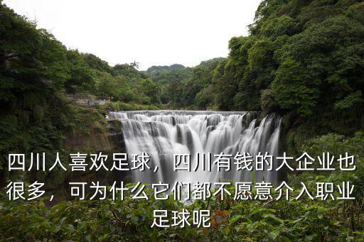 四川人哪里有錢(qián),四川人喜歡足球