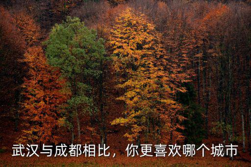 武漢與成都相比，你更喜歡哪個城市