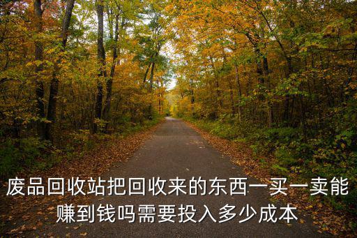 廢品回收站把回收來的東西一買一賣能賺到錢嗎需要投入多少成本